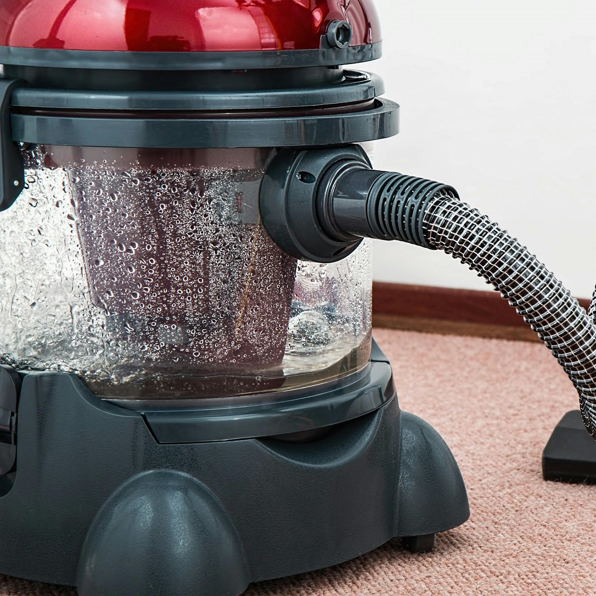 pexels pixabay 38325